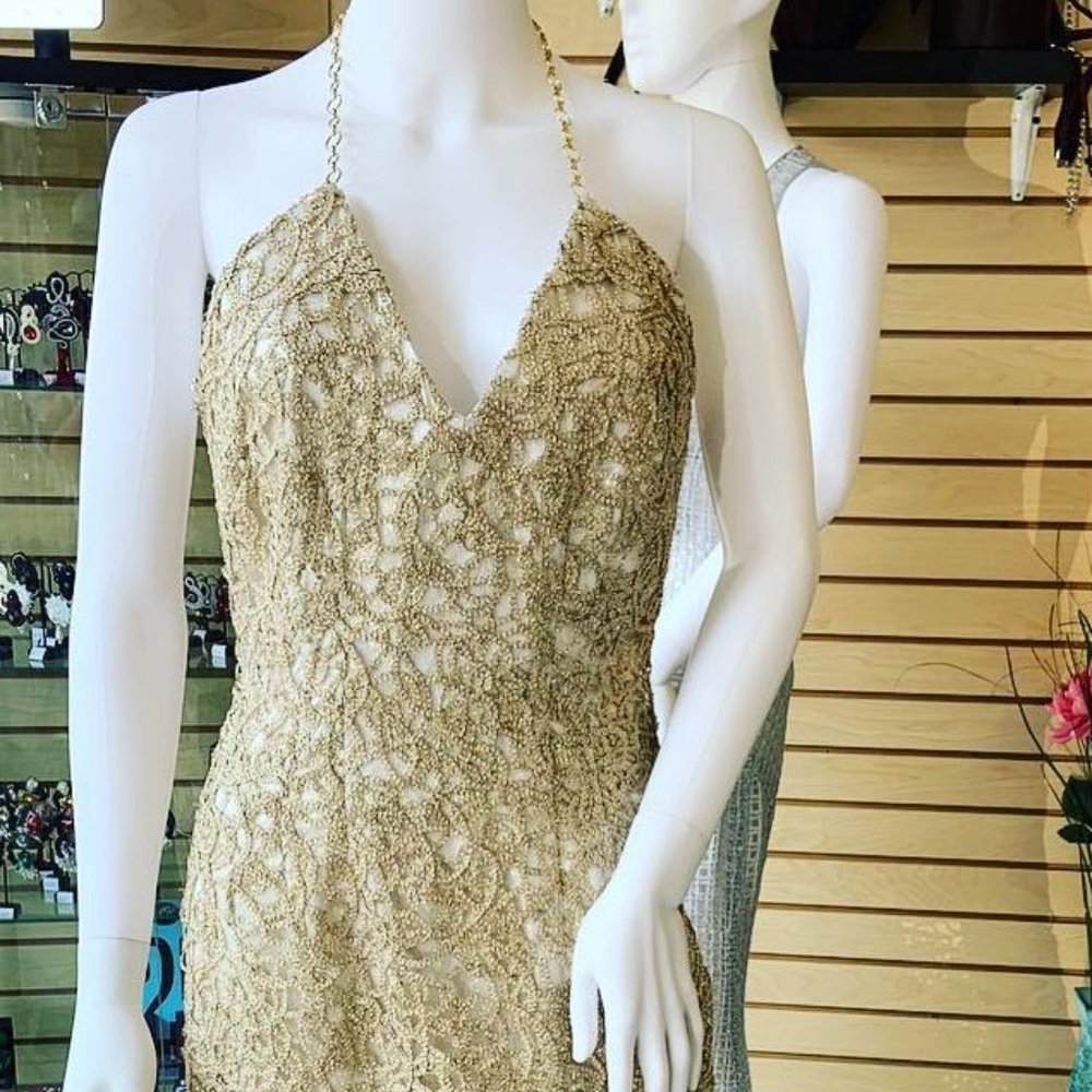 NWT $998 Sexy Elie Tahari Gold Circle Hoops Embroidered Lace Hawn Dress Size 2